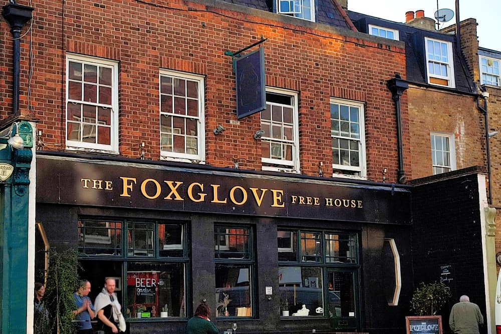 The Foxglove