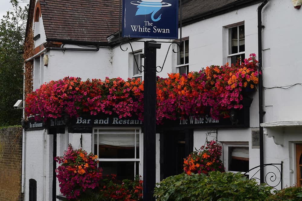 The White Swan
